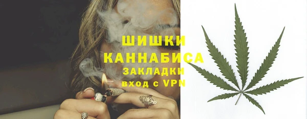 винт Надым