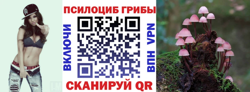 купить закладку  Порхов  Псилоцибиновые грибы Psilocybine cubensis 